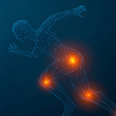 Übersichtsbild Online Symposium der Physiopark Akademie 2026